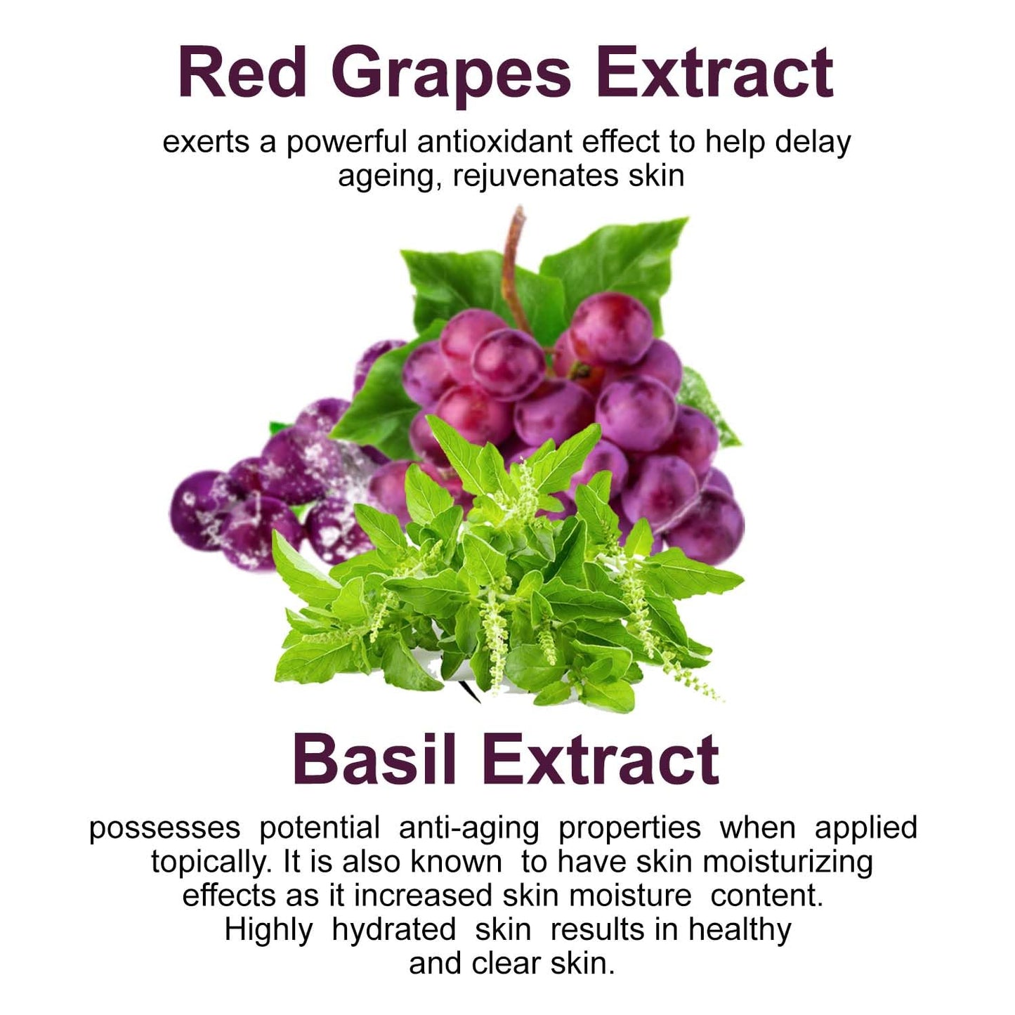 🍇 Astaberry Wine Face Wash – 100ml Antioxidant-Rich Facial Cleanser | With Red Grape & Basil Extracts Pack of 2 (100X2)