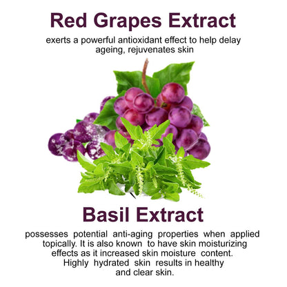 🍇 Astaberry Wine Face Wash – 100ml Antioxidant-Rich Facial Cleanser | With Red Grape & Basil Extracts Pack of 2 (100X2)